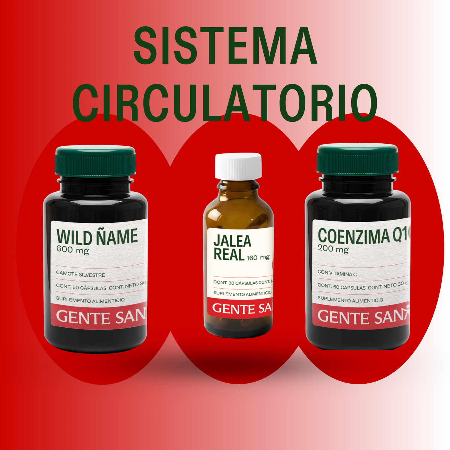 Circulatorio
