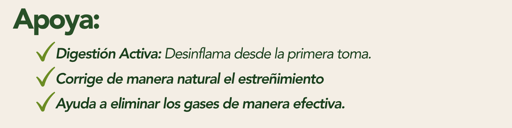 ZZ ALEMANA Sabila 600 mg 60 tabletas